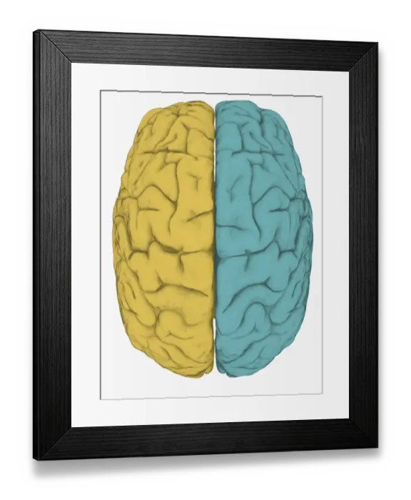 Framed Print : Digital illustration of left hemisphere (yellow) and right hemisphere (blue) of human brain Framed Print : Digital illustration of left hemisphere (yellow) and right hemisphere (blue) of human brain
