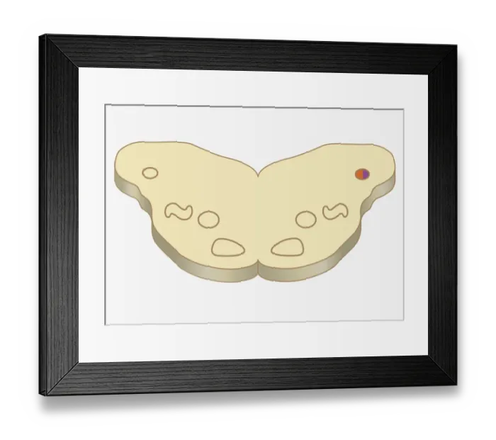 Framed Print : Digital cross section illustration of area signal received in cell of ventral cochlea in human brain