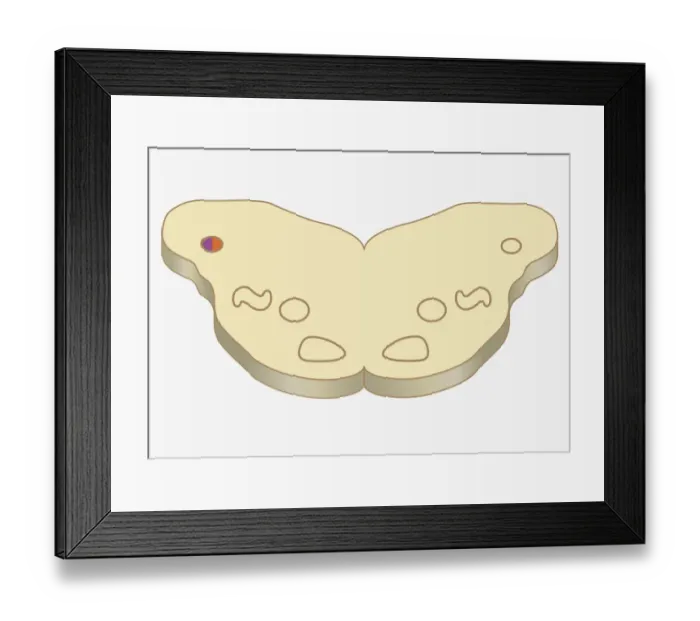 Framed Print : Digital cross section illustration of area signal received in cell of ventral cochlea in human brain Framed Print : Digital cross section illustration of area signal received in cell of ventral cochlea in human brain