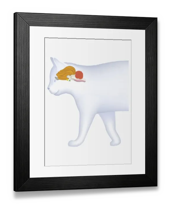 Framed Print : Digital illustration of domestic cat showing cerebellum highlighted in orange Framed Print : Digital illustration of domestic cat showing cerebellum highlighted in orange