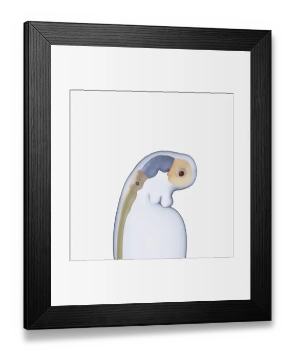 Framed Print : Digital illustration of neural tube, rudimentary eye and ear buds of three week old human embryo