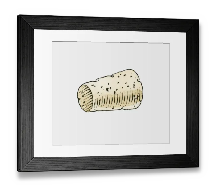 Framed Print : Illustration of wine bottle cork Framed Print : Illustration of wine bottle cork