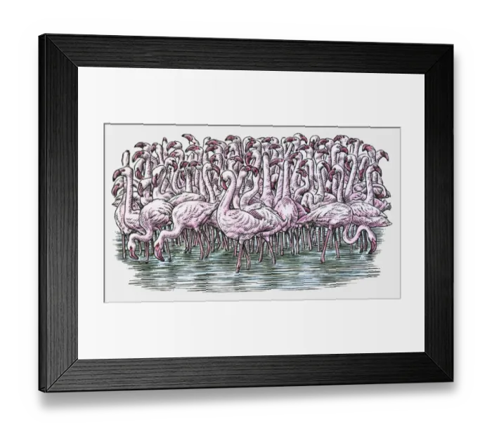 Framed Print : Illustration of Flamingos standing in water Framed Print : Illustration of Flamingos standing in water