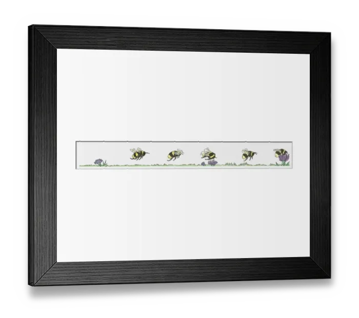 Framed Print : Sequence of illustrations showing bumblebee flying toward flower and collecting pollen