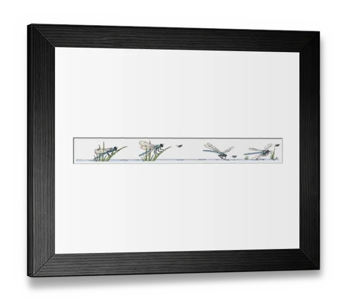 Framed Print : Sequence of illustration of Dragonfly hunting insect Framed Print : Sequence of illustration of Dragonfly hunting insect