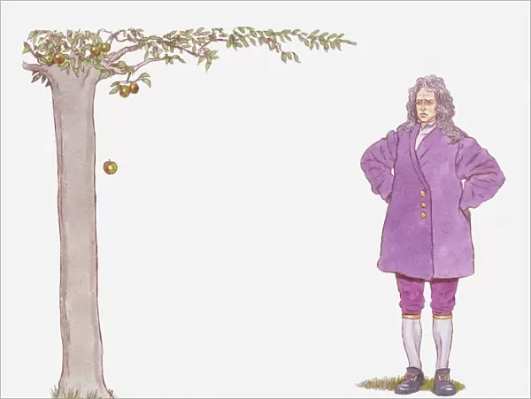 Illustration of Isaac Newton watching apple falling from tree
