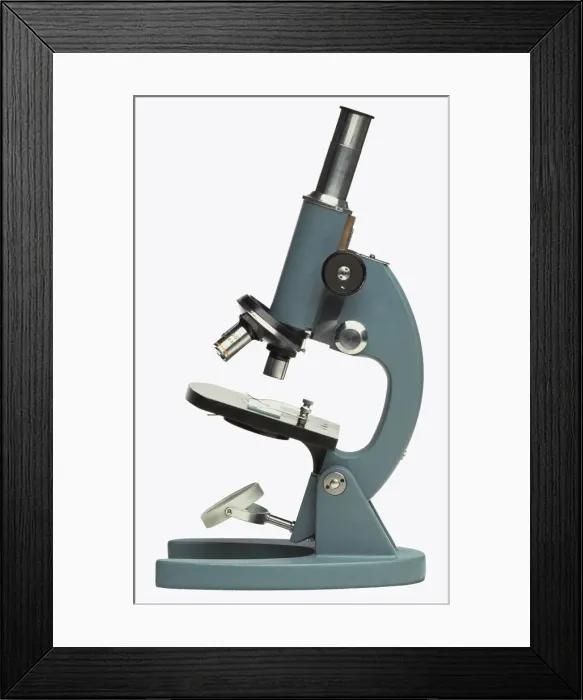 Framed Print : Microscope Framed Print : Microscope