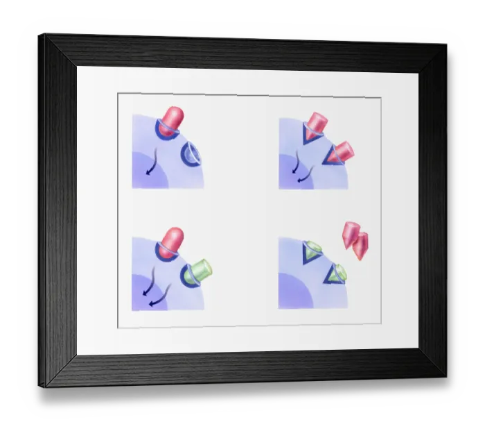 Framed Print : Illustration of cell reaction to agonist drug (left) and to antagonist drug (right) Framed Print : Illustration of cell reaction to agonist drug (left) and to antagonist drug (right)