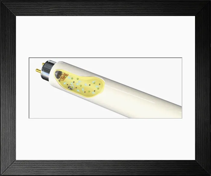 Framed Print : Illustration of fluorescent lamp Framed Print : Illustration of fluorescent lamp