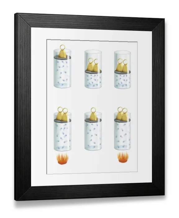 Framed Print : Experiments exploring the behaviour of gases when heated, illustrating Boyles Law, Charless Law, G Framed Print : Experiments exploring the behaviour of gases when heated, illustrating Boyles Law, Charless Law, G