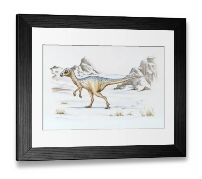 Framed Print : Illustration of Leaellynasaura which lived in polar regions Framed Print : Illustration of Leaellynasaura which lived in polar regions
