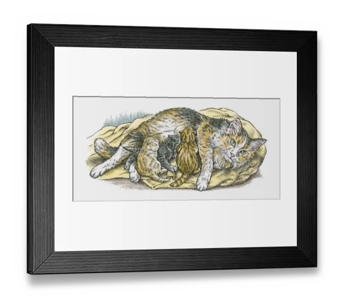 Framed Print : Illustration of cat suckling litter of kittens Framed Print : Illustration of cat suckling litter of kittens
