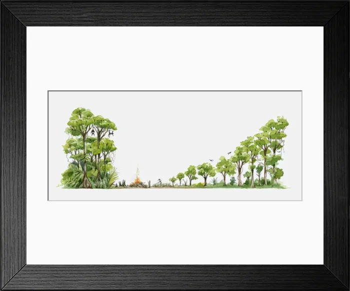 Framed Print : Illustration of showing rainforest deforestation Framed Print : Illustration of showing rainforest deforestation