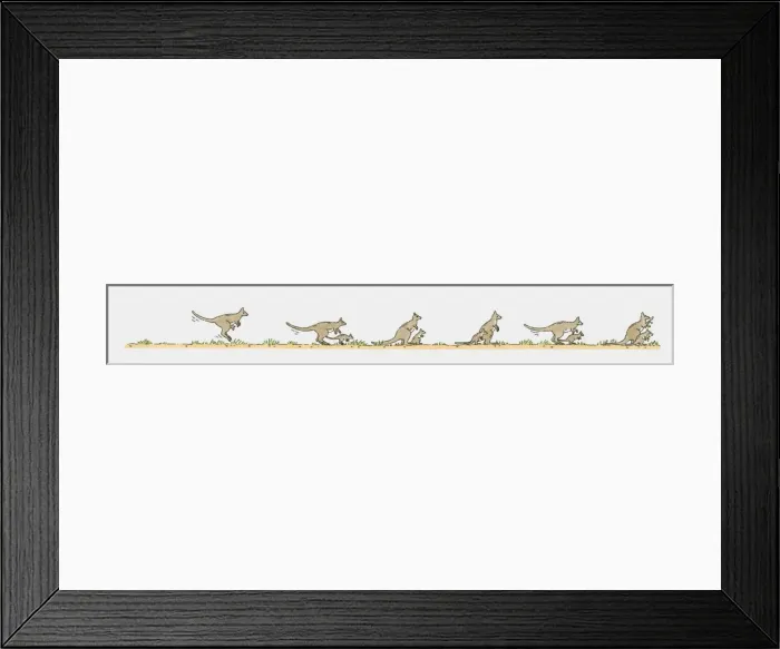 Framed Print : Sequence of illustrations showing kangaroos and Joeys on the move Framed Print : Sequence of illustrations showing kangaroos and Joeys on the move