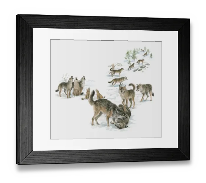 Framed Print : Illustration of wolf pack Framed Print : Illustration of wolf pack