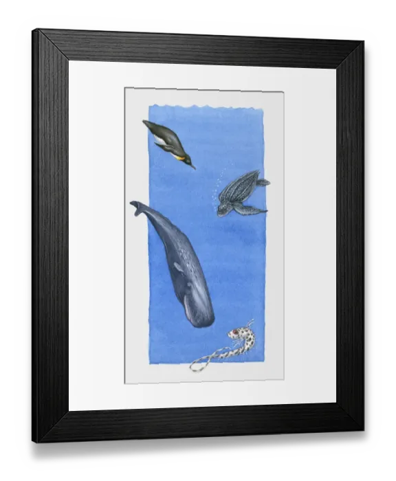 Framed Print : Illustration of Emperor Penguin, Leatherback Turtle, Sperm Whale and Rattail fish at various depth i Framed Print : Illustration of Emperor Penguin, Leatherback Turtle, Sperm Whale and Rattail fish at various depth i