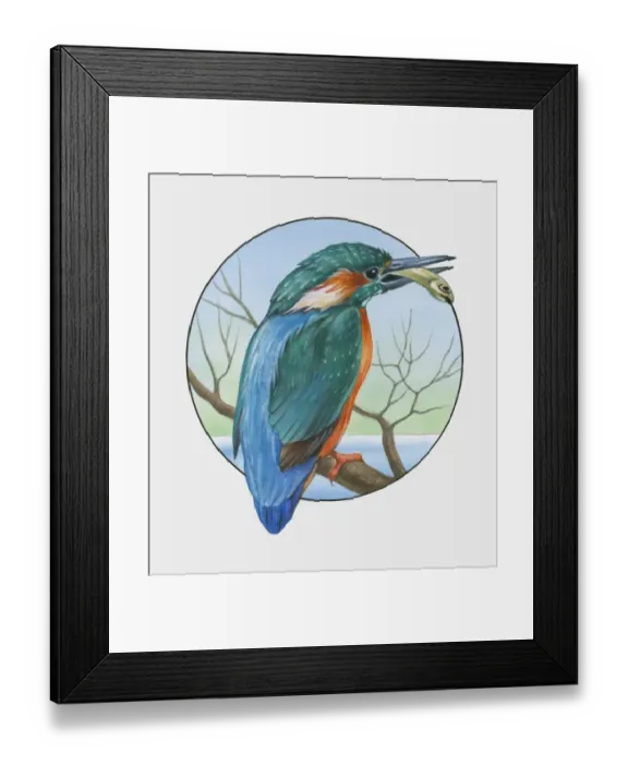 Framed Print : Illustration of Eurasian Kingfisher (Alcedo atthis) perching on branch with fish in beak Framed Print : Illustration of Eurasian Kingfisher (Alcedo atthis) perching on branch with fish in beak