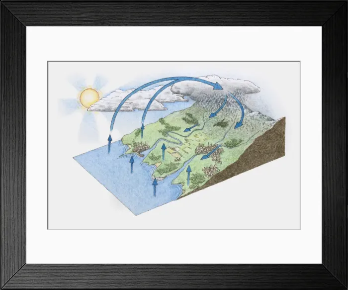 Framed Print : Illustration of water cycle from mountain to ocean Framed Print : Illustration of water cycle from mountain to ocean
