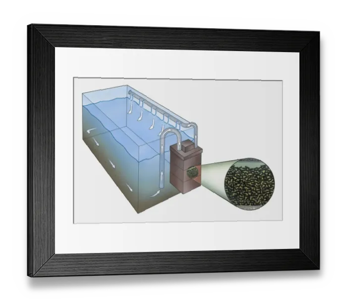 Framed Print : Cross section illustration showing how a carbon filtration tank works Framed Print : Cross section illustration showing how a carbon filtration tank works