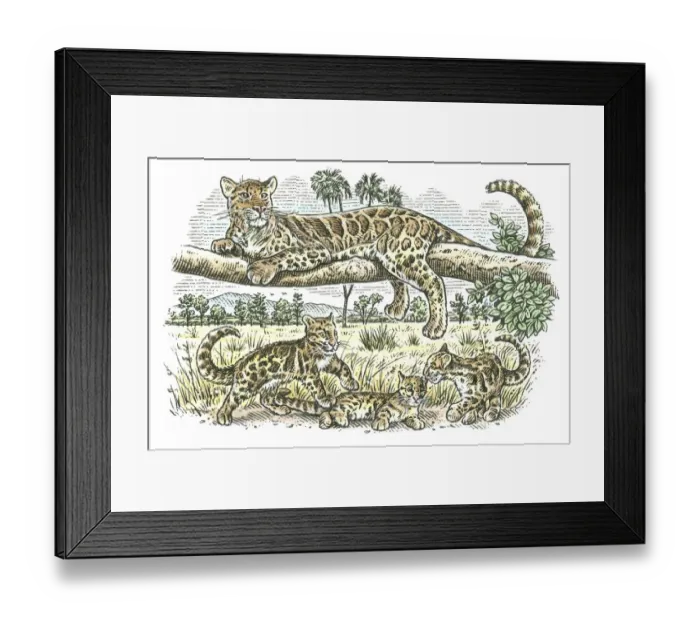 Framed Print : Illustration of female leopard lying on branch as her cubs play below on plains of sub-Saharan Afric Framed Print : Illustration of female leopard lying on branch as her cubs play below on plains of sub-Saharan Afric
