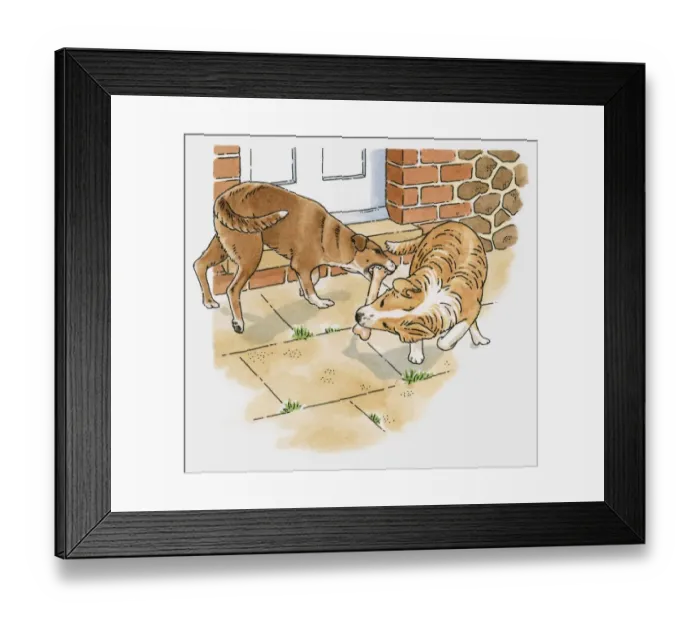 Framed Print : Illustration of two dogs chewing on the same bone Framed Print : Illustration of two dogs chewing on the same bone