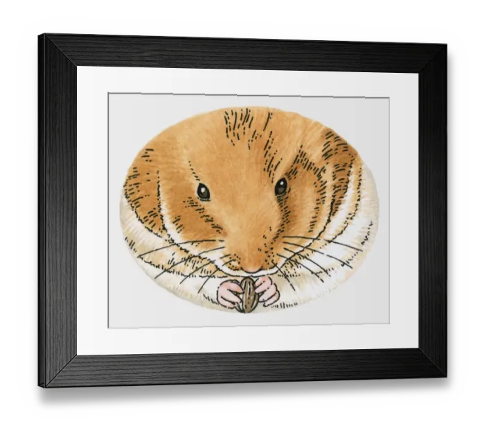 Framed Print : Illustration of hamster holding sunflower seed Framed Print : Illustration of hamster holding sunflower seed