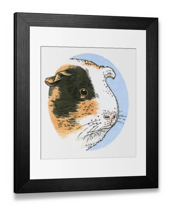 Framed Print : Illustration of guinea pig head Framed Print : Illustration of guinea pig head