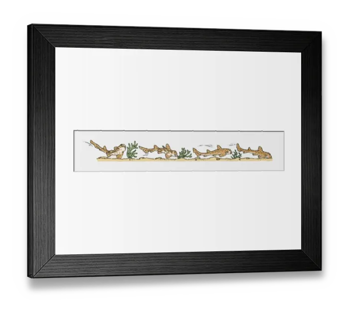 Framed Print : Illustration of Bullhead Sharks (Heterodontus) swimming camouflaged against ocean floor Framed Print : Illustration of Bullhead Sharks (Heterodontus) swimming camouflaged against ocean floor