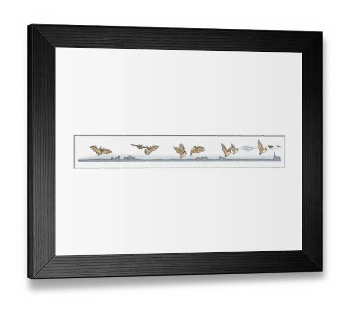 Framed Print : Image sequence illustration of Bat flying at night in search of insects Framed Print : Image sequence illustration of Bat flying at night in search of insects