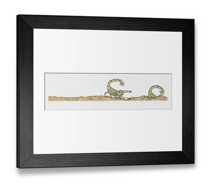 Framed Print : Illustration of scorpion behind scorpion hiding in sand Framed Print : Illustration of scorpion behind scorpion hiding in sand