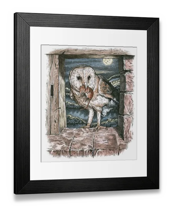 Framed Print : Illustration of Barn Owl (Tyto alba), standing in open barn window with mouse in beak