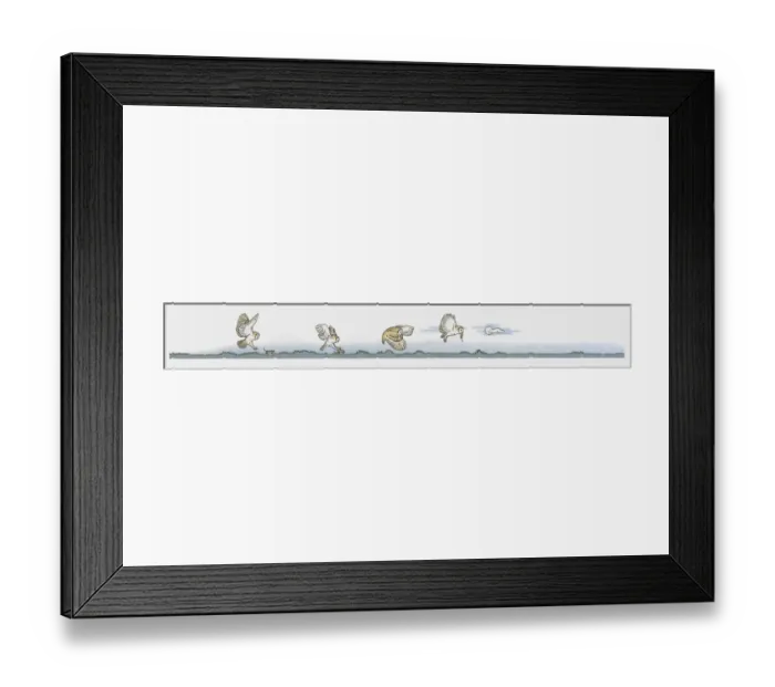 Framed Print : Image sequence illustration of Barn Owl (Tyto alba) hunting for mice at night Framed Print : Image sequence illustration of Barn Owl (Tyto alba) hunting for mice at night