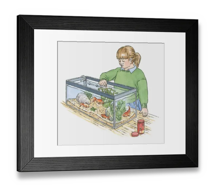 Framed Print : Illustration of of girl feeding goldfish in tank Framed Print : Illustration of of girl feeding goldfish in tank