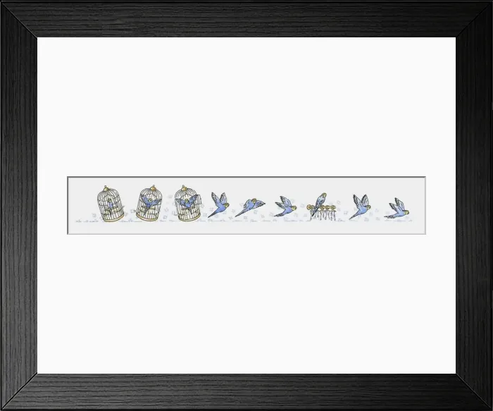 Framed Print : Sequence of illustrations showing blue budgerigar inside birdcage, flying, and perching Framed Print : Sequence of illustrations showing blue budgerigar inside birdcage, flying, and perching