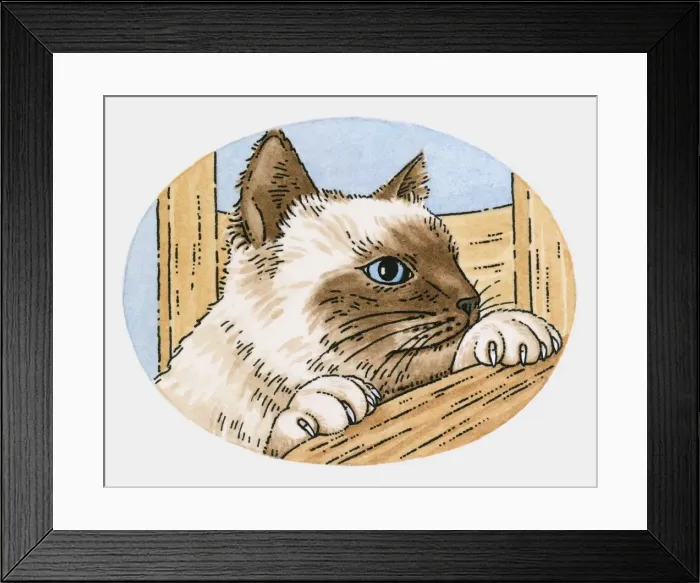 Framed Print : Illustration of curious Siamese cat Framed Print : Illustration of curious Siamese cat