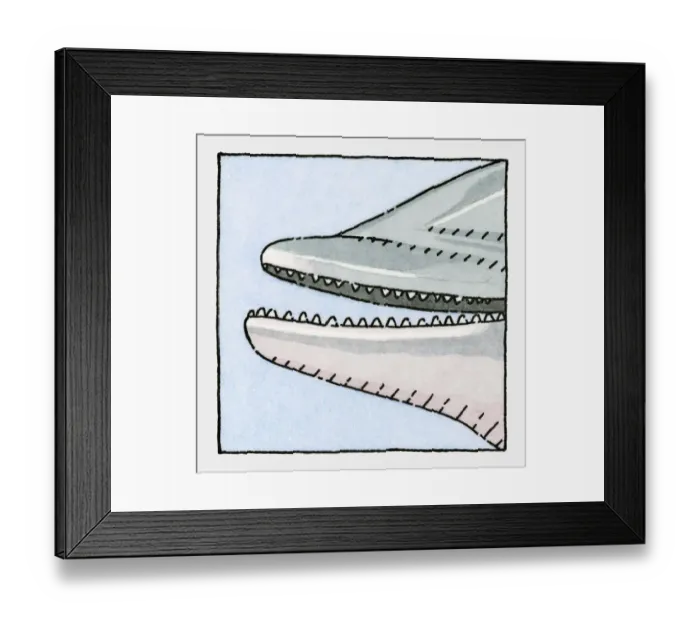 Framed Print : Illustration of Dolphin, open mouth showing teeth, close-up Framed Print : Illustration of Dolphin, open mouth showing teeth, close-up