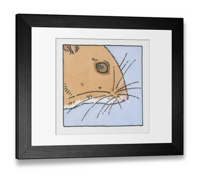 Framed Print : Illustration of field mouse head showing whiskers