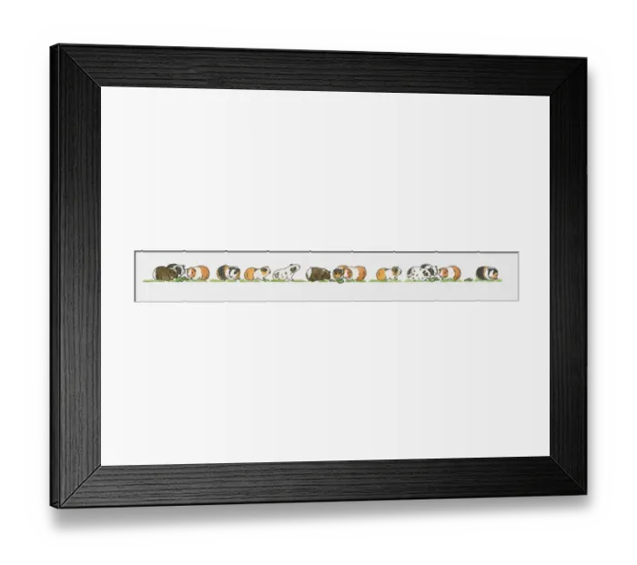 Framed Print : Sequence of illustrations showing guinea pigs on grass Framed Print : Sequence of illustrations showing guinea pigs on grass