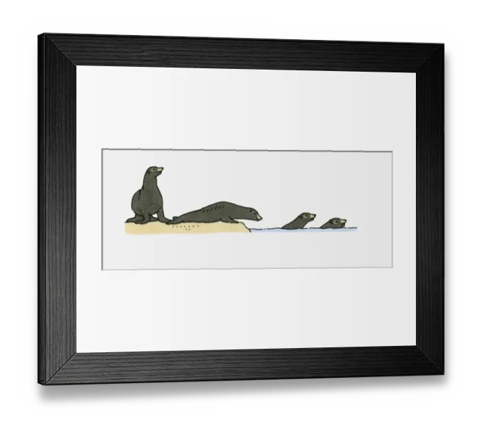 Framed Print : Illustration of Sea Lions on beach and swimming in sea