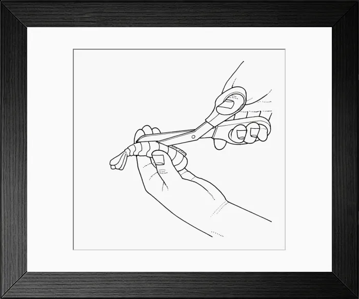 Framed Print : Black and white illustration of deveining prawn using scissors to cut along back Framed Print : Black and white illustration of deveining prawn using scissors to cut along back