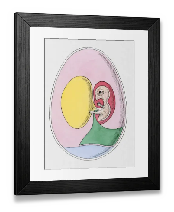 Framed Print : Cross section illustration of bird embryo inside egg Framed Print : Cross section illustration of bird embryo inside egg