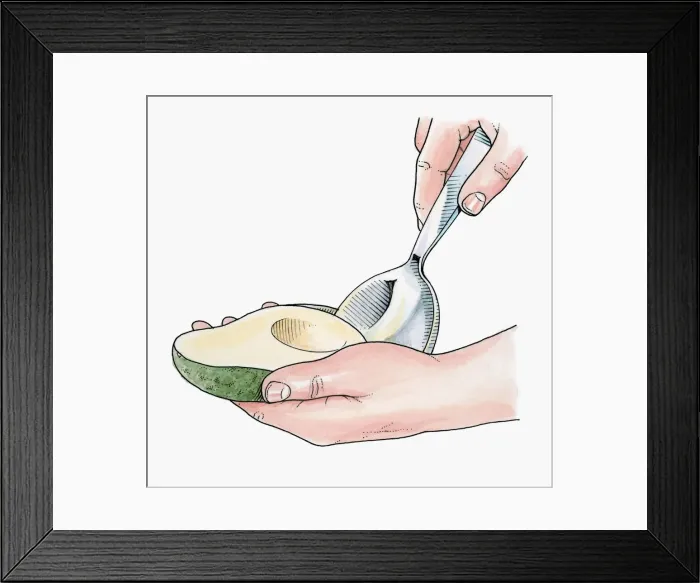 Framed Print : Illustration of using large spoon to remove avocado flesh from skin Framed Print : Illustration of using large spoon to remove avocado flesh from skin