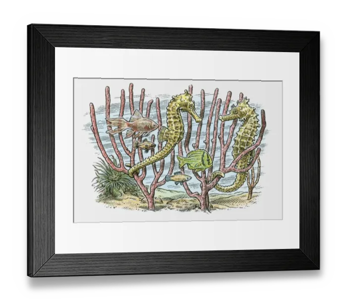 Framed Print : Illustration of sea horses and fish swimming in reefs on ocean floor Framed Print : Illustration of sea horses and fish swimming in reefs on ocean floor