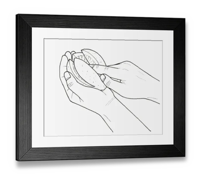 Framed Print : Black and white illustration of rubbing salt into lemon slices to preserve
