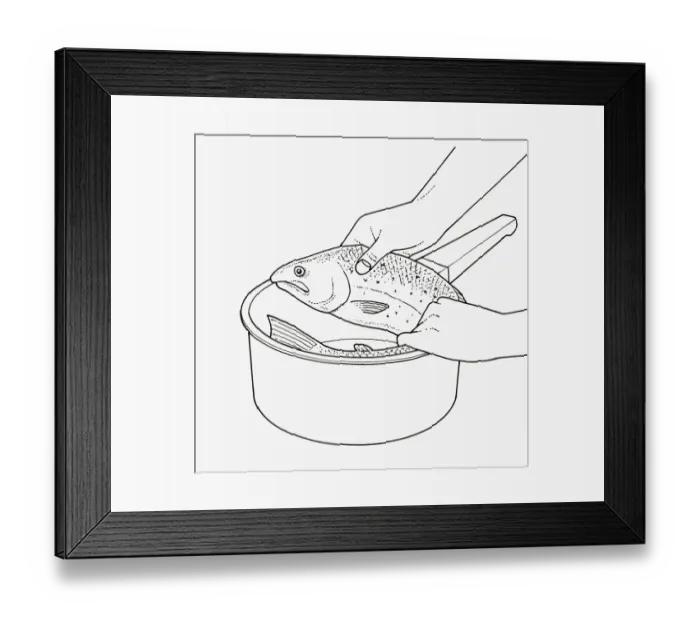 Framed Print : Black and white illustration of curling large, whole fish to fit into saucepan Framed Print : Black and white illustration of curling large, whole fish to fit into saucepan