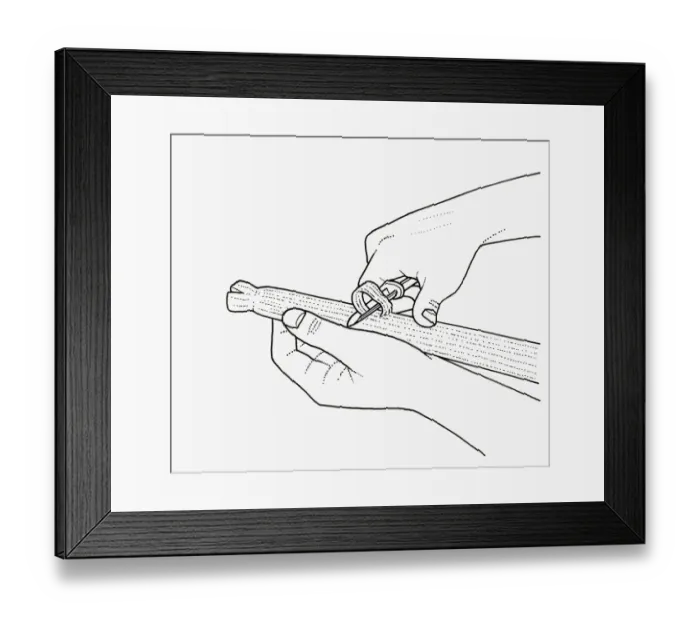 Framed Print : Black and white illustration of stringing celery using vegetable peeler Framed Print : Black and white illustration of stringing celery using vegetable peeler