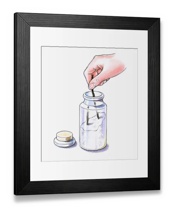 Framed Print : Illustration of putting vanilla pods in jar with white sugar
