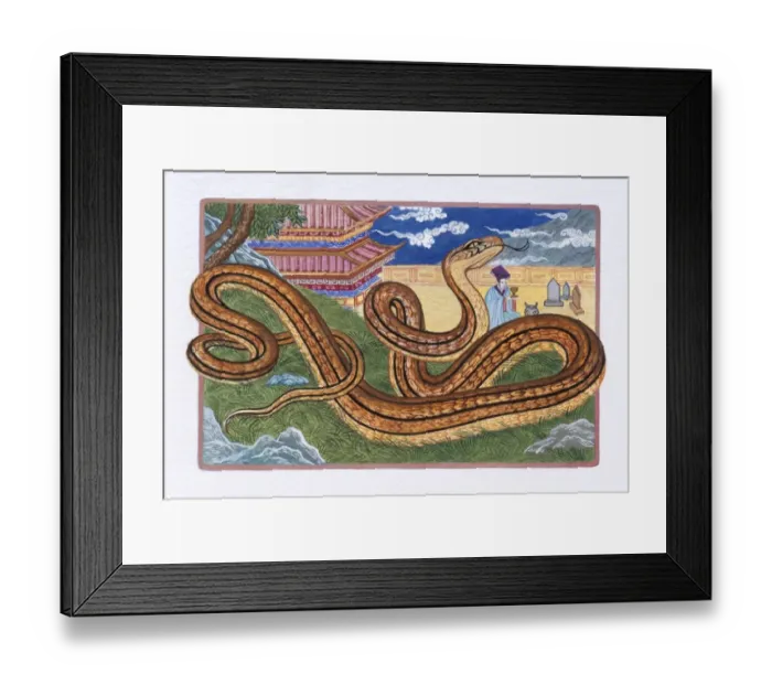 Framed Print : Illustration of Snake on the Grass, representing Chinese Year Of The Snake Framed Print : Illustration of Snake on the Grass, representing Chinese Year Of The Snake