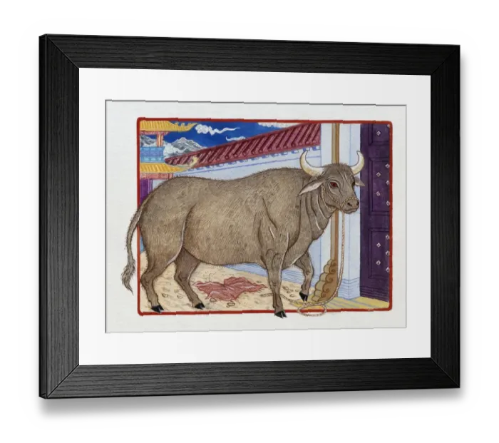 Framed Print : Illustration of Ox Inside the Gate, representing Chinese Year Of The Ox Framed Print : Illustration of Ox Inside the Gate, representing Chinese Year Of The Ox