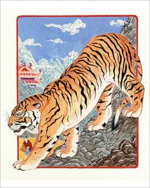 Illustration of Tiger Going Down The Mountain, representing Chinese Year Of The Tiger